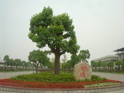 煙糖集團(tuán)團(tuán)委舉辦“我眼中的光明”主題活動