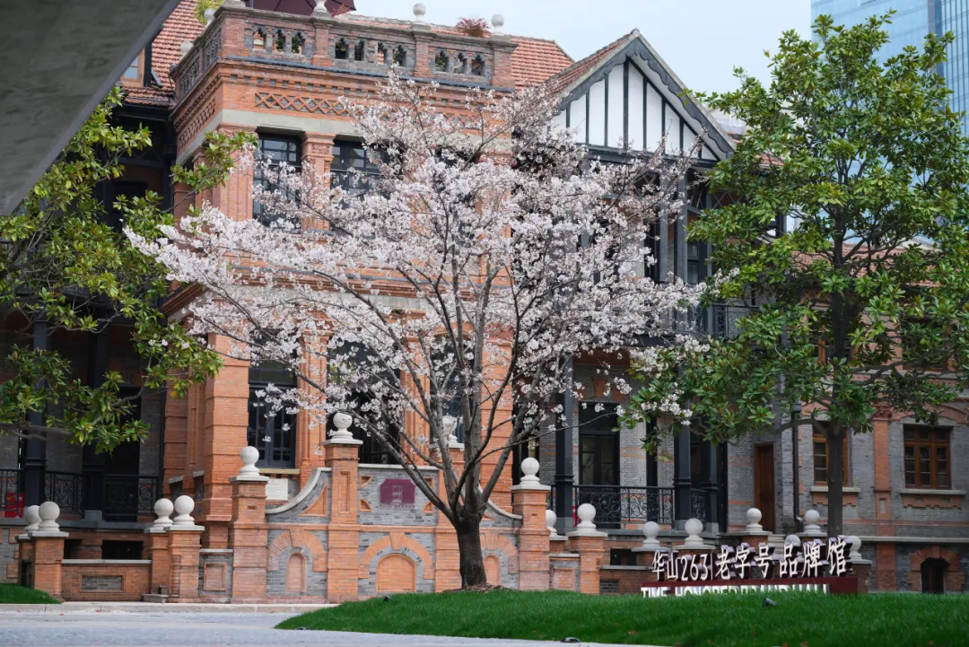 image007.png image007.png