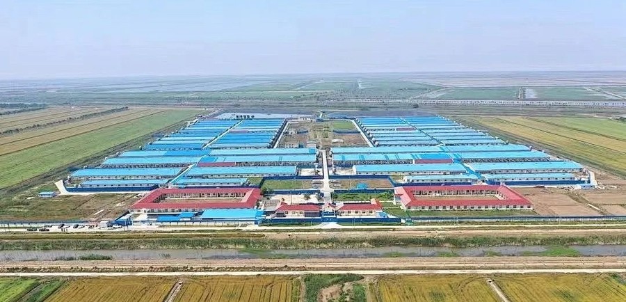2 光影見證 · 深耕448.jpg 2 光影見證 · 深耕448.jpg