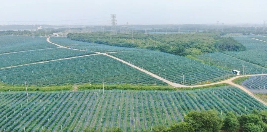 2 光影見證 · 深耕1062.jpg 2 光影見證 · 深耕1062.jpg